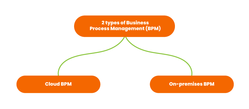 2 types of business process management